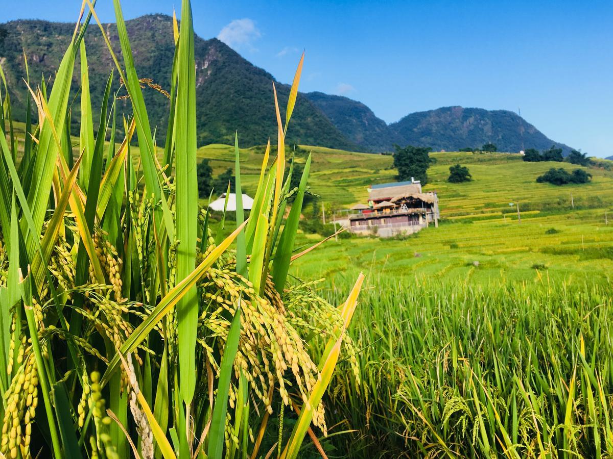 Hoa'S Homestay Sapa Εξωτερικό φωτογραφία