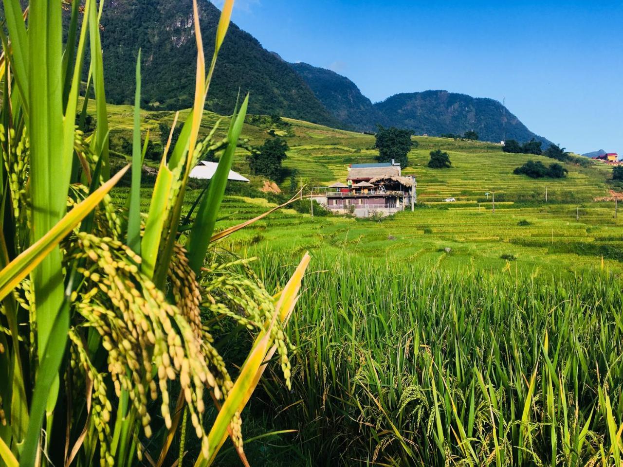Hoa'S Homestay Sapa Εξωτερικό φωτογραφία